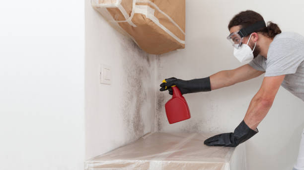 Attic Mold Remediation treatment on roof deck in Cliffside Park