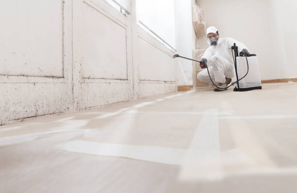 Black mold remediation team in Cliffside Park